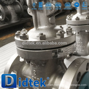 Didtek Thermal Power Plant gate valve dn80